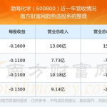 股票600800,深度解析该股票的投资价值与市场动态