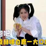 爱豆吃瓜娱乐酱白鹿,爱豆吃瓜娱乐酱，揭秘娱乐圈幕后故事