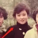 娱乐圈吃瓜资深少女,揭秘明星幕后故事